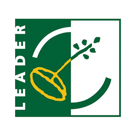 diever partners logo